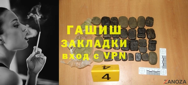 стаф Алексин