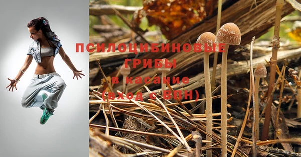 стаф Алексин