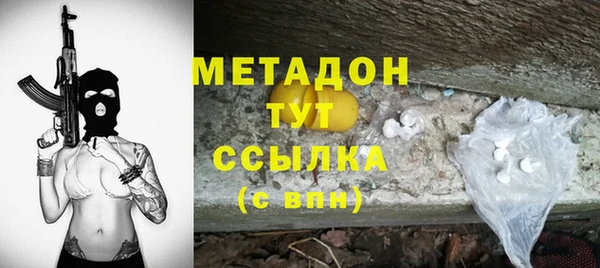 стаф Алексин