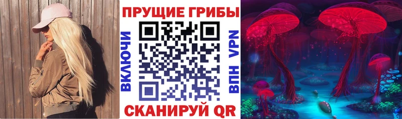 Псилоцибиновые грибы Cubensis  купить наркотик  Чусовой 