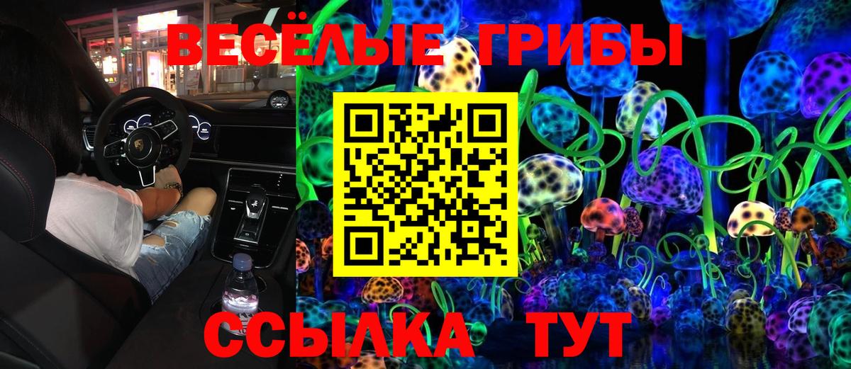 Псилоцибиновые грибы Psilocybine cubensis  Псилоцибиновые грибы GOLDEN TEACHER  Чусовой  где купить   Вход с VPN 